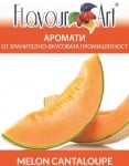 Аромат Melon Cantaloupe - FlavourArt Изображение 1